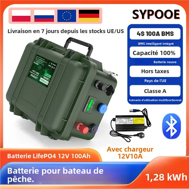 Batterie LiFePO4 12V 100Ah 200Ah 140Ah 24V LFP Portable USB PD 6000+ Cycles Bluetooth BMS pour Bateau Batterie Lithium 12.8V Stock UE 1