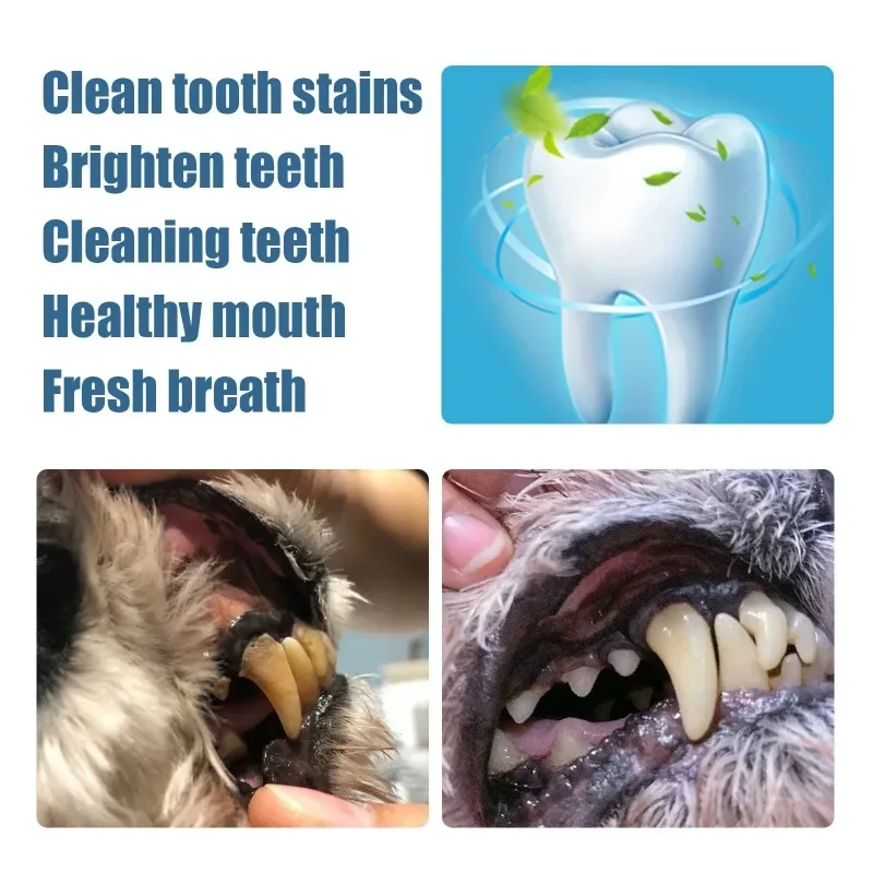 Pets Teeth Cleaning Tools Tartar Remover Teeth Stones Scraper Dogs Tooth Stains Cleaning Pen Beauty Toothbrush Clean Kit images - 6
