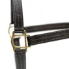 Horse turnout halter for outdoor use soft leather material black color triple-stitched durability and throat snap with adjustab