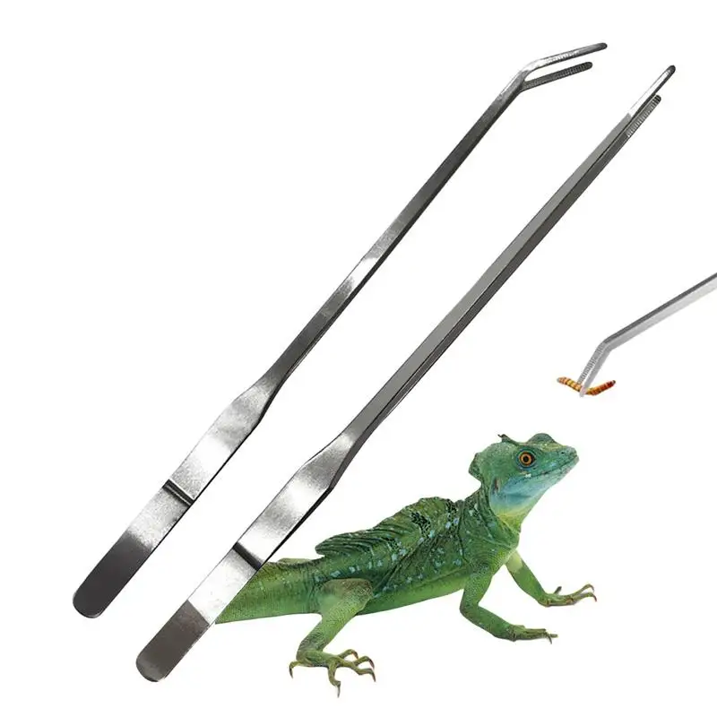 Long Aquarium Tweezers 2pcs Long Fish Tweezers Craft And Aquatic Plant Precision Tool Stainless Straight And Curved For Reptile