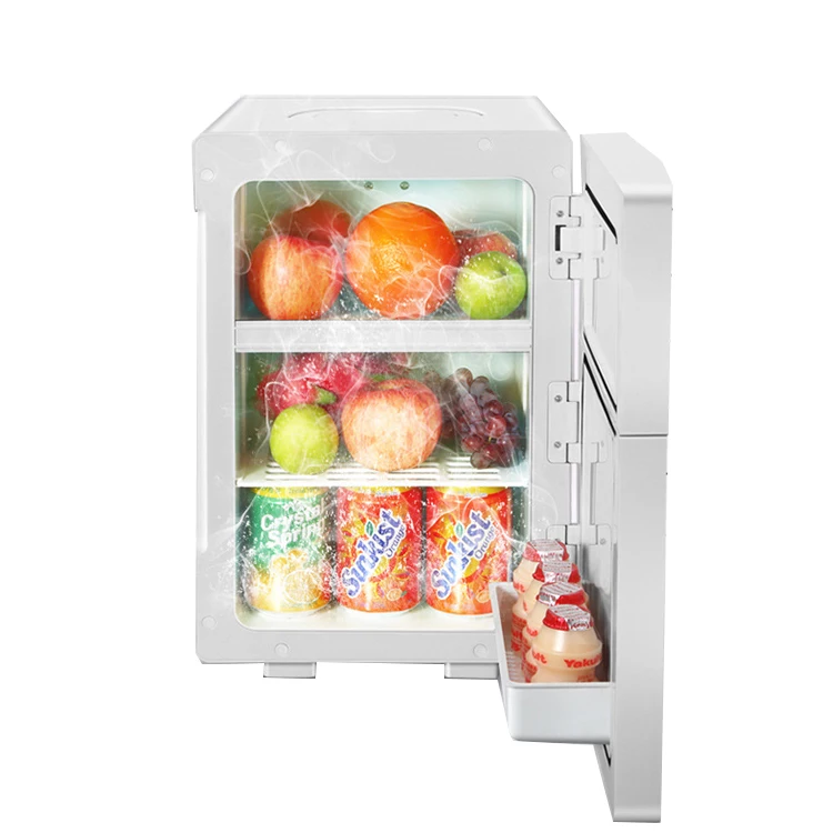 15-20L Mini Car Fridge Travel Refrigerator Portable 12-48V AC/DC Powered Cool Heat Cooler Warmer Box Home Office Car Freezer