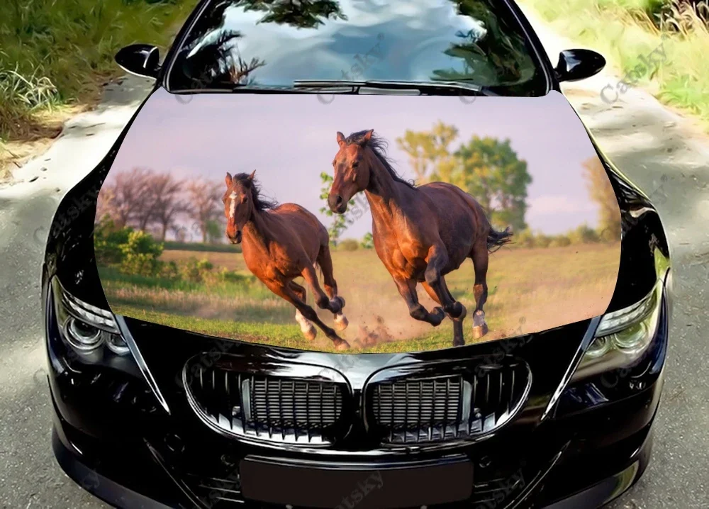 

Grassland Galloping Horses Car Hood Wrap Decal Vinyl Sticker Full Color Graphic Car Sticker Custom Size and Image Fit Any Car