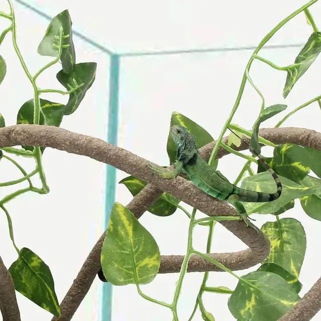 Ramo Di Vite Per Rettili Lucky Reptile - Arredamento Terrario Per Arrampicata E Nascondiglio - Foto 5