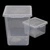 1 Pc Plastic Transparent Insect Spider Habitat Feeding Box Case Container Tank Transport Case Hatching Tank 2
