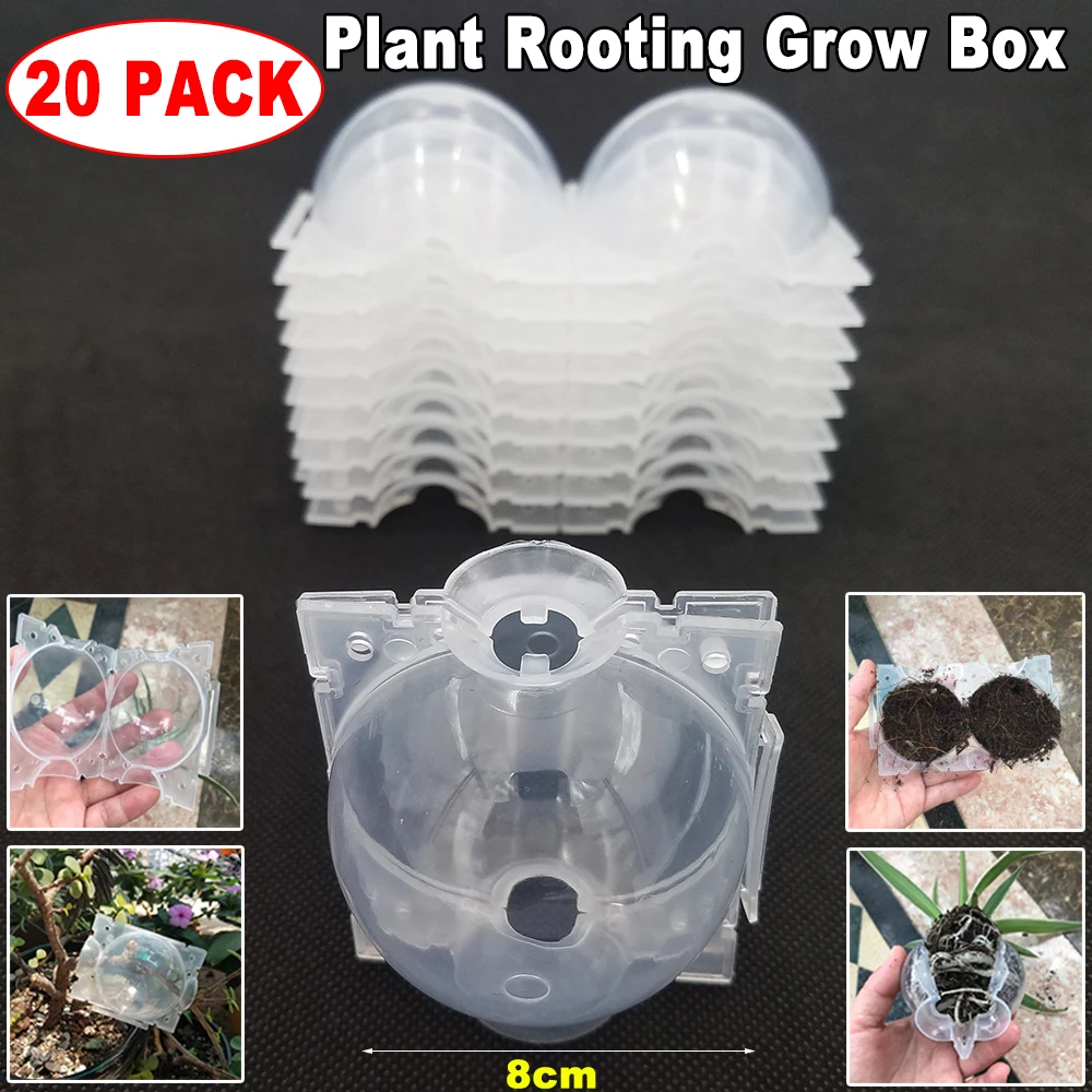 20Pcs 8cm Plant Root Ball Visible Root Graft Growing Box Breeding Case Plant Root Device Layer Pod High Pressure Ball for Garden 3