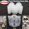 20Pcs 8cm Plant Root Ball Visible Root Graft Growing Box Breeding Case Plant Root Device Layer Pod High Pressure Ball for Garden 3