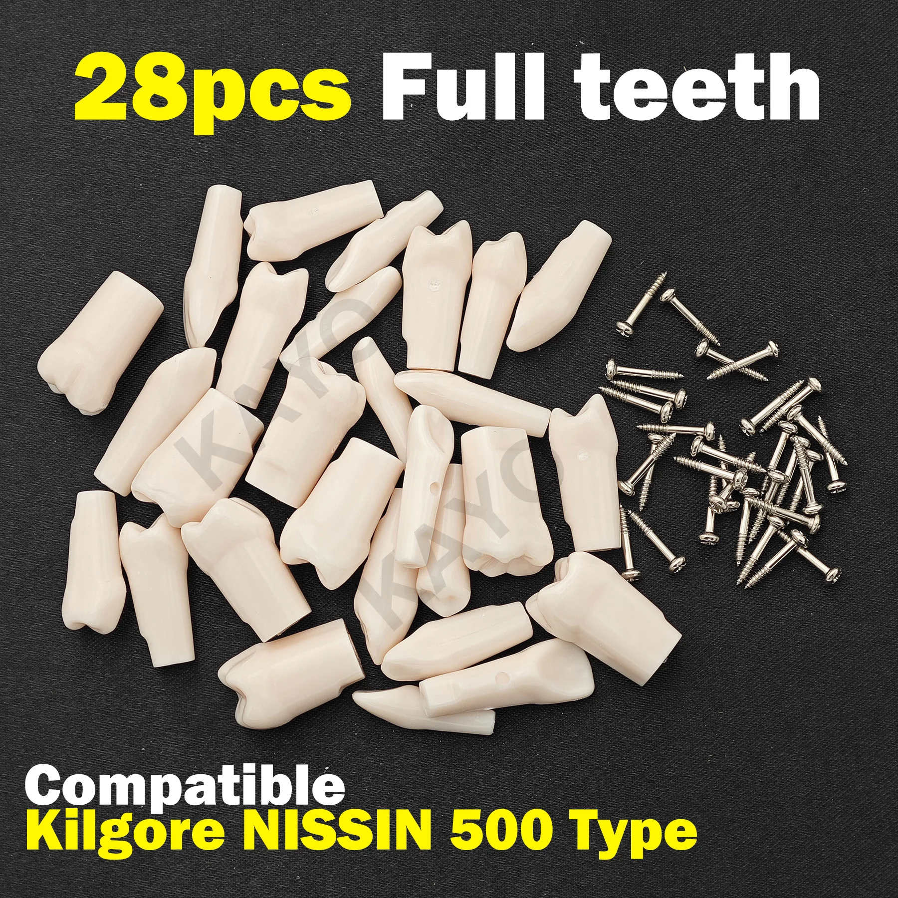 

Dental Teeth Model Typodont Screw-in Replacement Teeth fit NISSIN 500 Type 28 Pcs Tooth Dentistry Preparation Training Practice