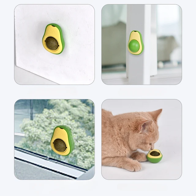 Natural Catnip Healthy Rotatable Wall Stick-on Ball Cats Teeth Cleaning Catnip Ball Toys cat Catnip Scratching Supplies 4