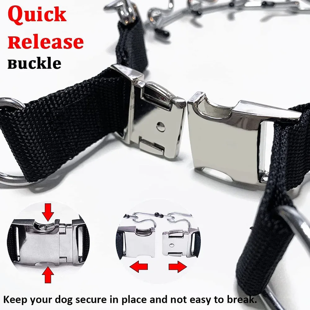 Collar Safety Clip How To Put A Prong Collar Back Together Dog - Main Image