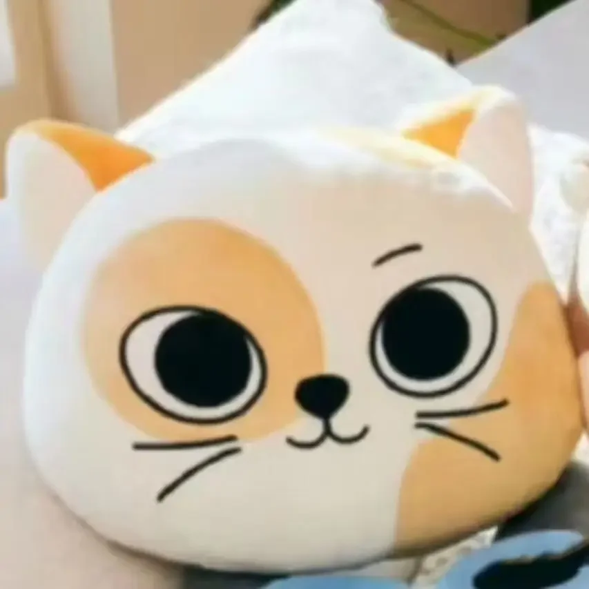 Boynextdoors Plush Pillow Kpop Boynextdoors Plushie Merch Boy Next Door Pillow sofa decoration Keyring Fans Gift 6