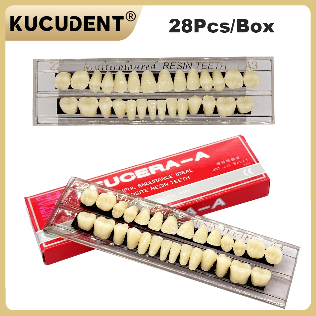 28teeth Resin Denture Teeth Dental Synthetic Resin Teeth Teeth Teaching Model Permanent Teeth Model Dental Material