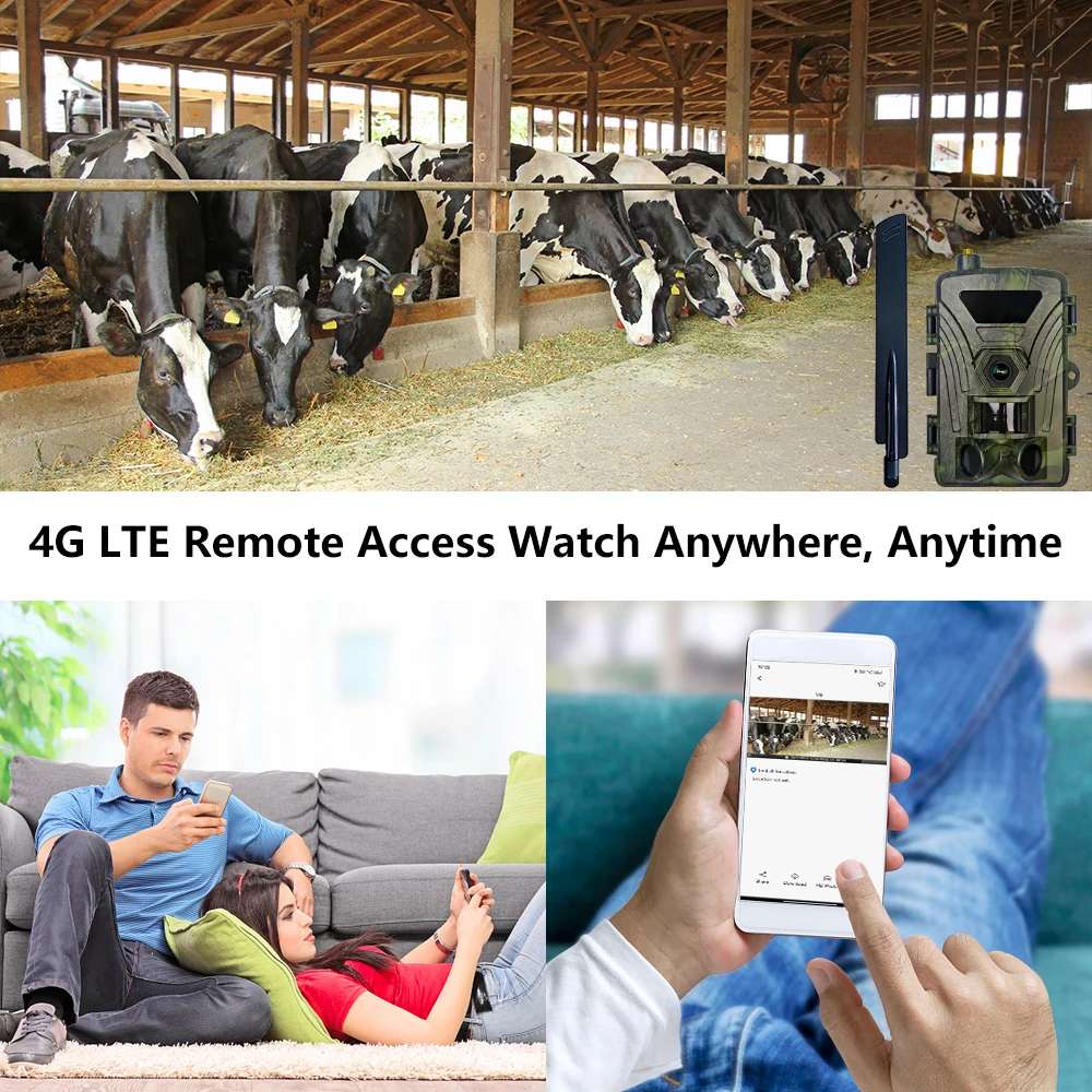 4G Hunting camera 4K day and night use wild trail camera with cloud, photo and video viewed on Apps. water proof, low glow light 2