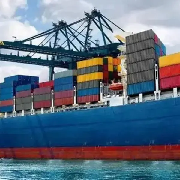 Professional Shipping Agency Store