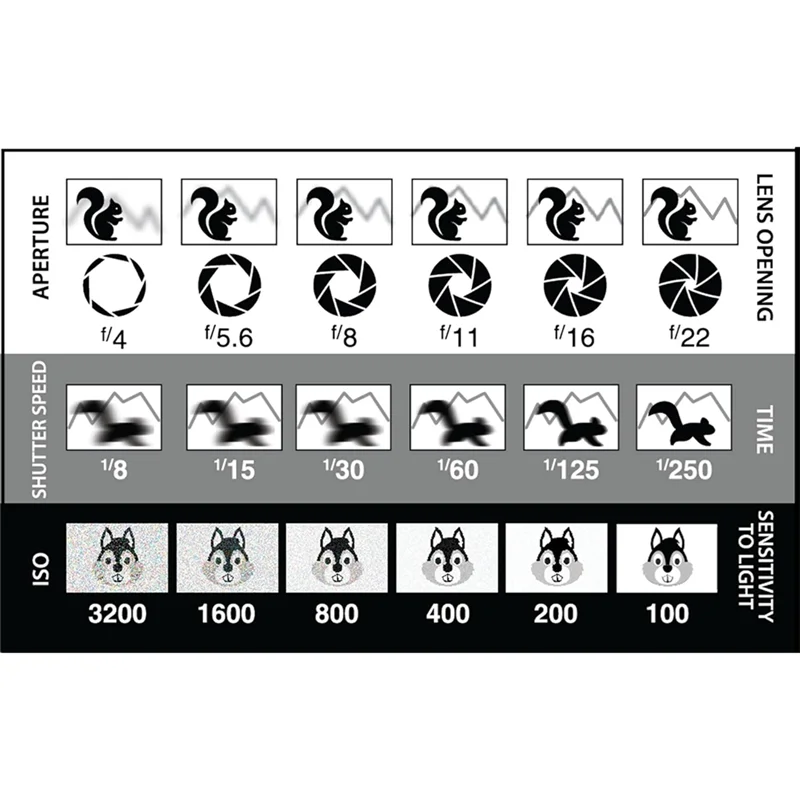 A99E-Scheda di riferimento per fotografia Scheda fotografica Mirino Strumenti per incorniciatura di fotografie - Image 2