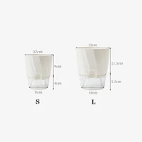Lazy Hydroponic Flower Pot Automatic Water-Absorbing Flowerpot Transparent Double Layer Plastic Self Watering Planter Office 2