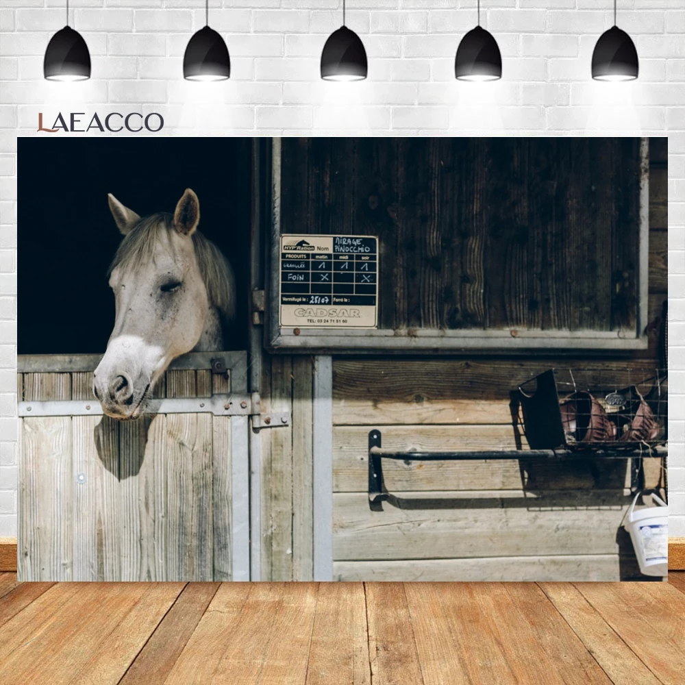 Laeacco ߻   ,  ð 縷  ,   Ƽ ʻȭ  