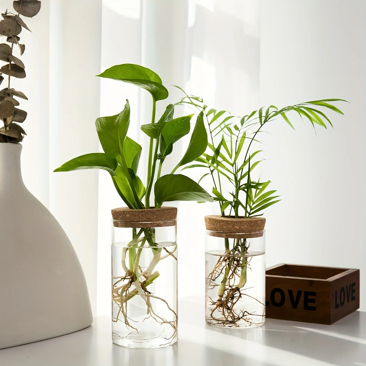 Description Picture 4 of itemMini Glass Vase Hydroponics Plants Desktop for Home Decoration Plant Propagation Station Bud Vase Desktop Hydroponics