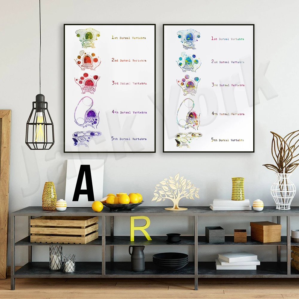 

Pulmonology poster with cross section of trachea, medical scientific watercolor print