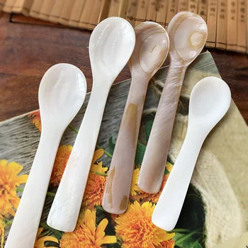 Cuillère à remuer pour crème, café, caviar, coquillages de mer, coquille naturelle, dessert artisanal, 9-13cm
