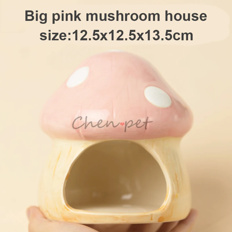 Big pink house