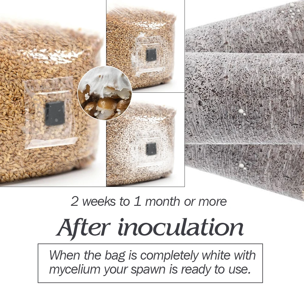 10pcs PP Sterilized Hydrated Grain Bag w/Self-Healing Injection Port 0.2μm Filter Patch Autoclaving Substrate Mushroom Spawn Bag 6