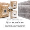 10pcs PP Sterilized Hydrated Grain Bag w/Self-Healing Injection Port 0.2μm Filter Patch Autoclaving Substrate Mushroom Spawn Bag 6