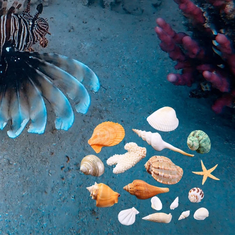 Aquarium Ornaments DIY Fish for Tank Decorations Mixed Seashells Sea Snail Coral Various Sizes up to 2.4" 55KF