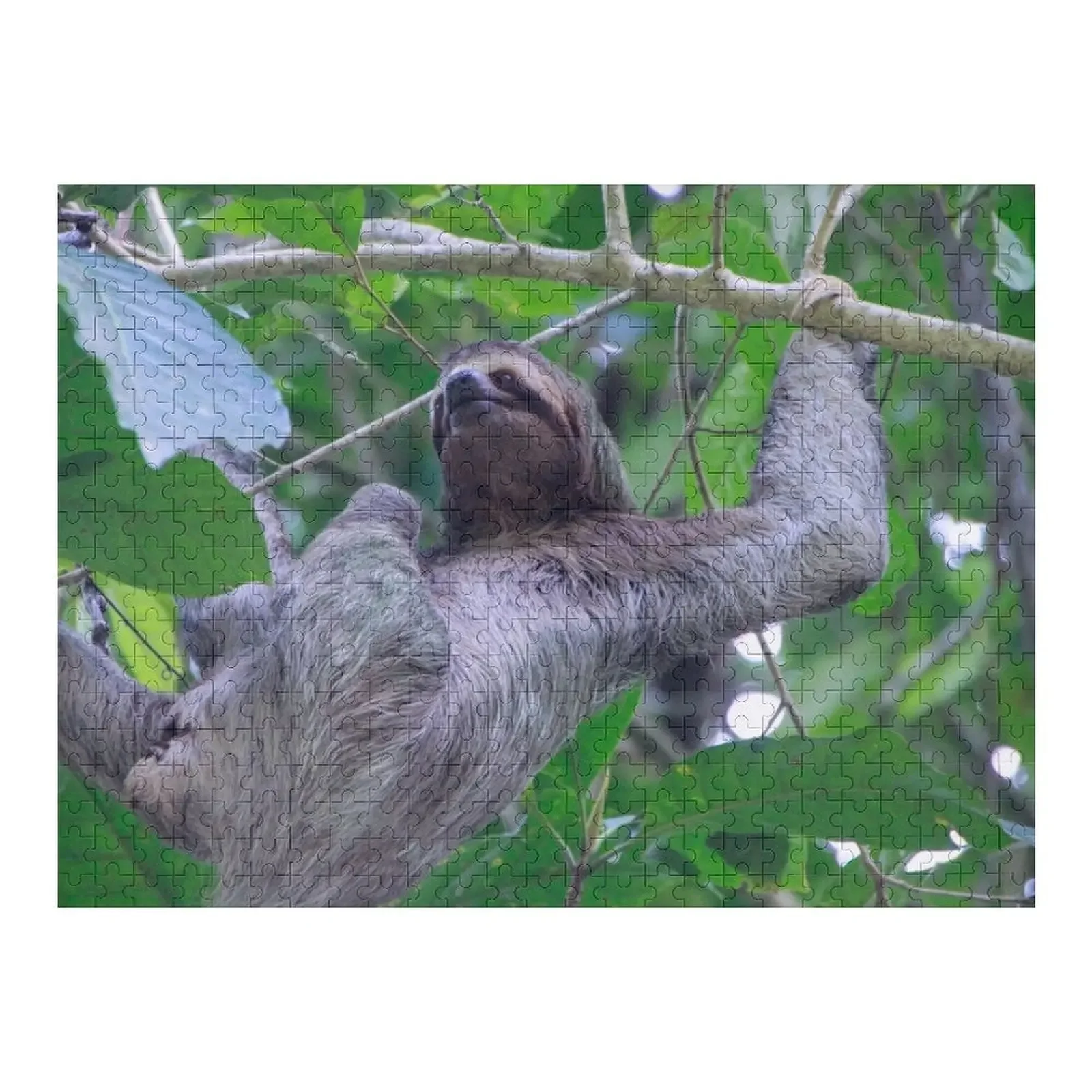 Three Toed Sloth Climbing Jigsaw Puzzle With Personalized Photo Personalized Wooden Name With Photo Puzzle