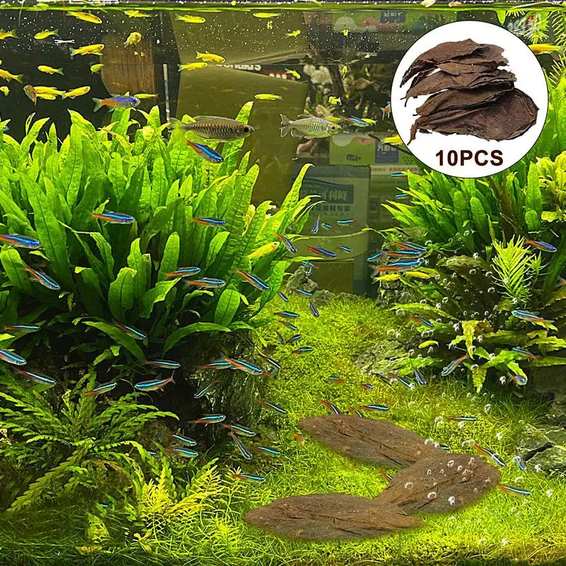 Aquarium Leaves Terminalia Catappa Leaves PH Balance Water Conditioner Betta Fish Toys Lower pH Level