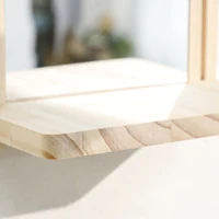 ชั้นวางต้นไม้ติดผนังอะคริลิคกระจกเงาพร้อมกรอบไม้ แผงใสโปร่งแสงรูปทรงประตู สำหรับตกแต่งห้องนั่งเล่นและห้องนอน 4