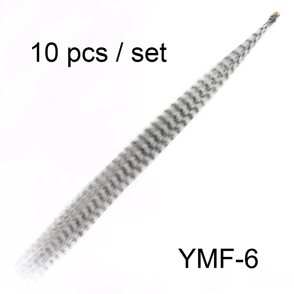 YMF-6
