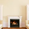Dual Fuel Ventless Gas Fireplace Insert, Remote Control, 9 Fire Logs, Use with Natural Gas or Liquid Propane 5