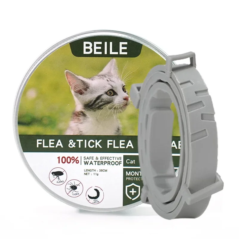 Green Box-Cat 38cm