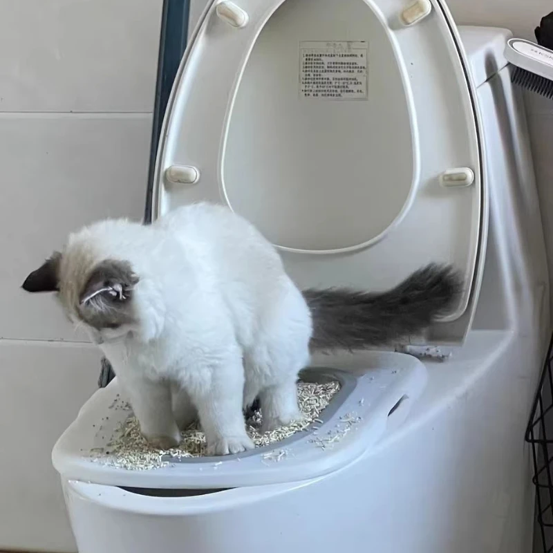Reusable Plastic Toilet Training Kit Cats Toilet Trainer Puppy Cat Litter Mat Cleaning Product
