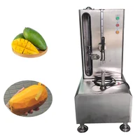Industrial Pumpkin Pineapple Melon Wax Gourd Coconut Orange Peeling Machine Papaya Peeler 1