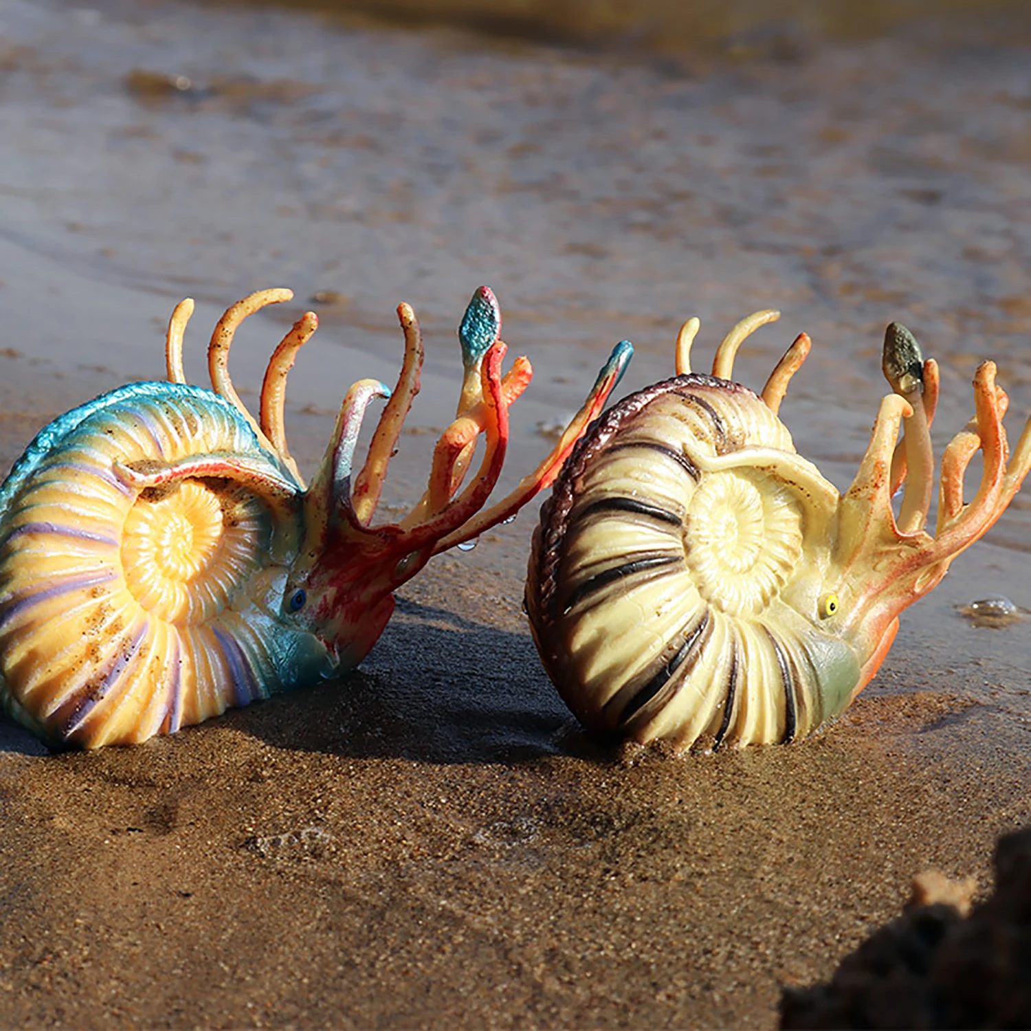 Marine animal model simulation toy Nautilus ornament children's toy figurine model early education 4