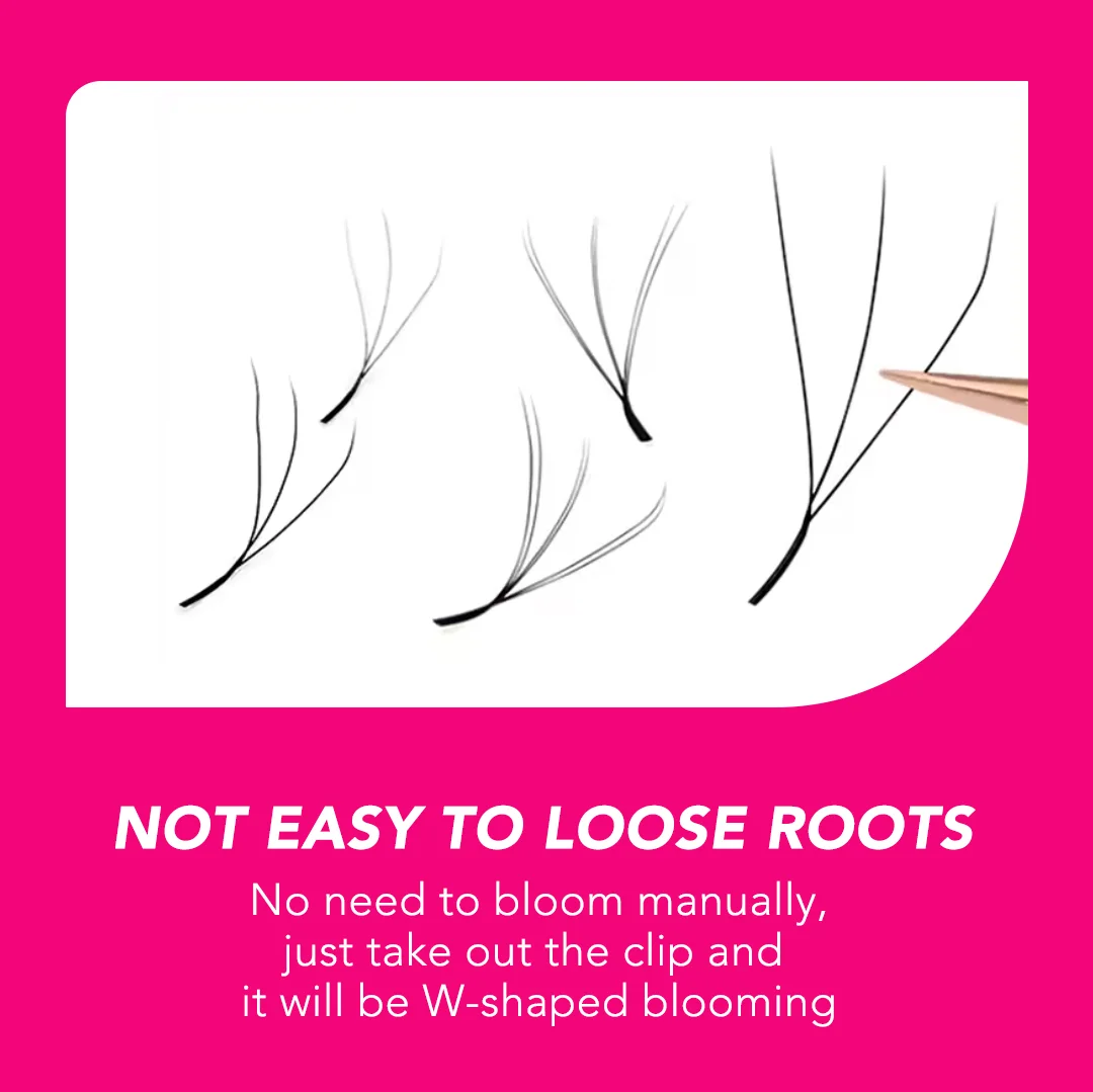 W Shape Lash Soft Handmade 3d 4d 5d 6d 8d Premade Volume Fan C D 0.07MM Eyelashes Extension