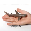 Hammerhead shark-6