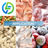 Les fabricants fournissent des congélateurs pour fruits et légumes | Équipement de congélation rapide à basse température pour raviolis et pains | Congélateur tunnel 200 kg 6
