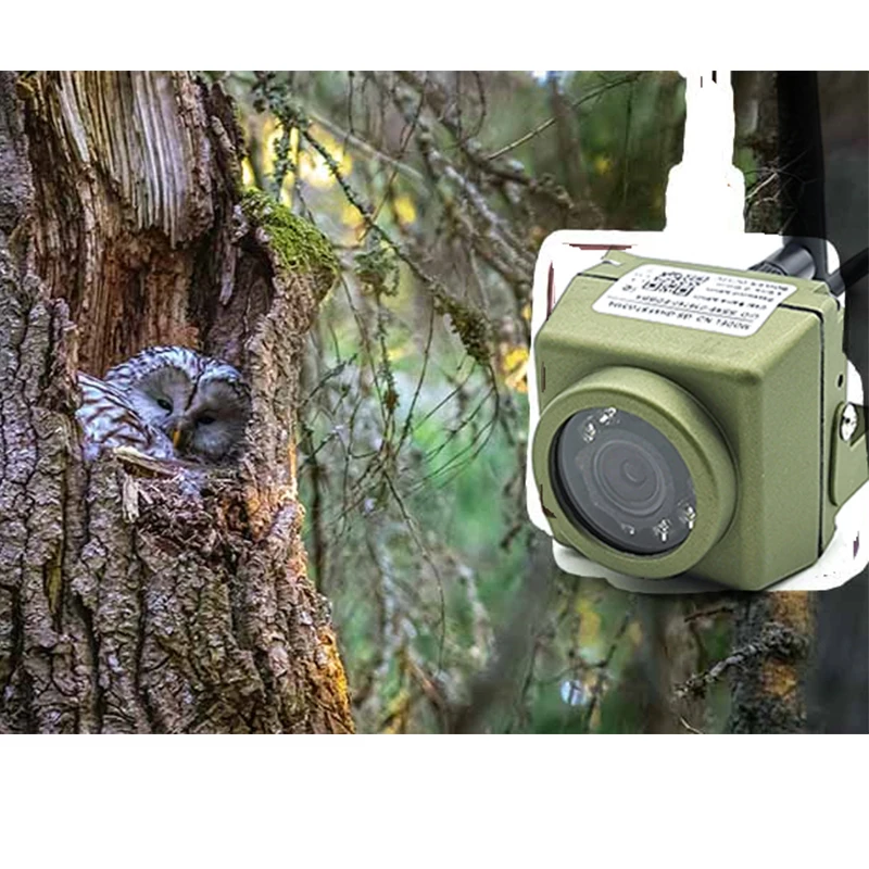 Camhi-Caméra IP sans fil WiFi Bird Box, 2MP, 5MP, IMX335 IMX307 HD, audio  vidéo 940nm IR, vision nocturne, nichoir, kits RTSP - AliExpress