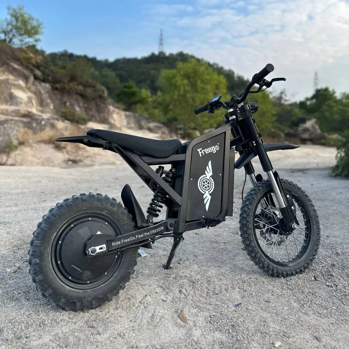 Freego X0 Electric Dirt Bike for Adults/Teens 3600W Motor Electric Motorcycle 60V Battery 40MPH Dual Hydraulic Disc Brakes eBike