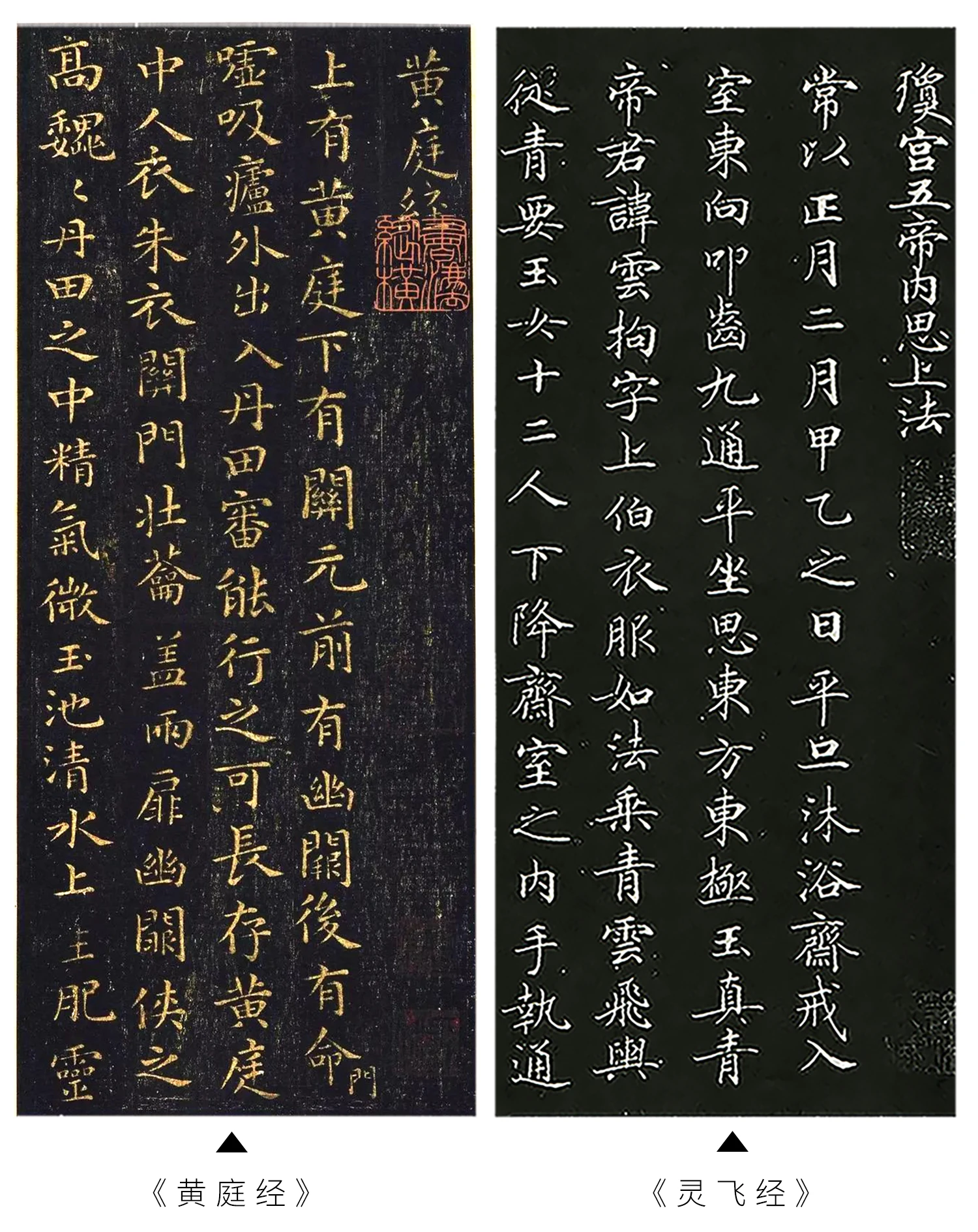 Chinesischer Kalligrafiepinsel aus Kaninchenhaar, mehrere Haarpinsel, kleiner Pinsel für reguläre Schrift, Pinsel mit kurzen Strichen, weicher Stift für Anfänger und Erwachsene – Detail 23