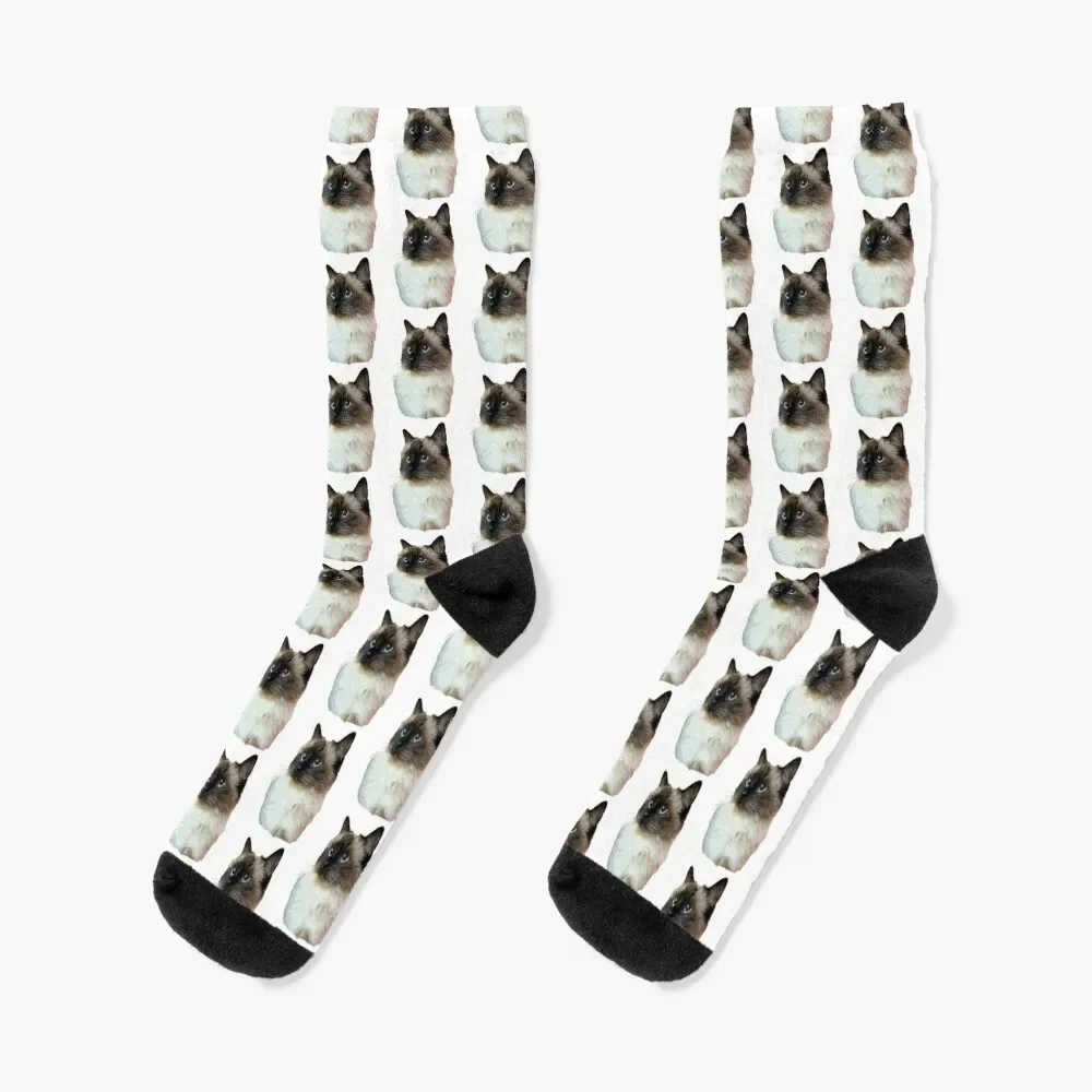 

Ragdoll Cat Socks christmas stocking floor halloween tennis Girl'S Socks Men's