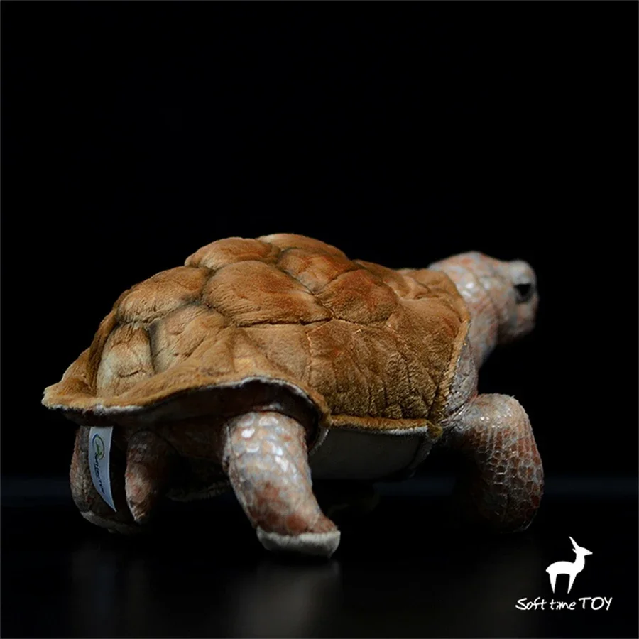 Galapagos Tortoise High Fidelity Anime Cute Plushie Turtles Plush Toys Lifelike Animals Simulation Stuffed Doll Kawai Toy Gifts 4