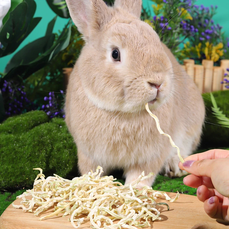 50g de papaya para mascotas, acondicionador del estómago para ayudar a la defecar, semilla de conejo, melón de madera, Chinchillas secas, conejillo de indias, hámster, juguete molar 5