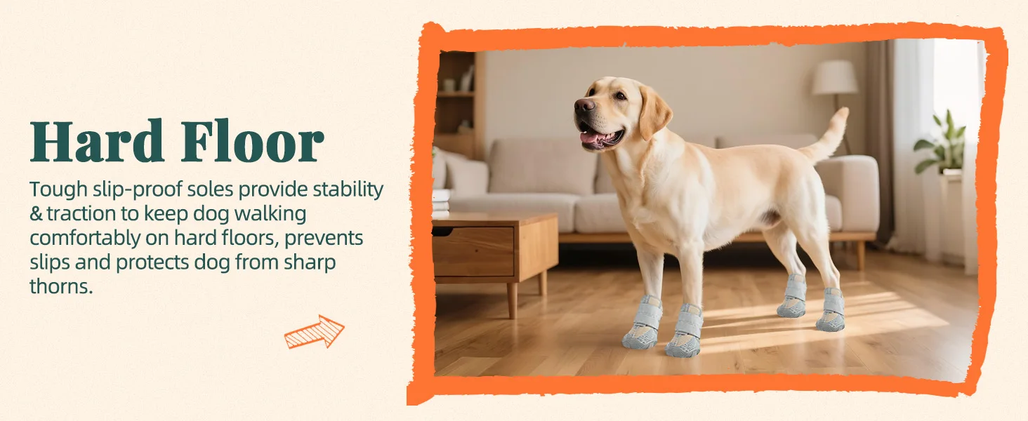 dog winter boots