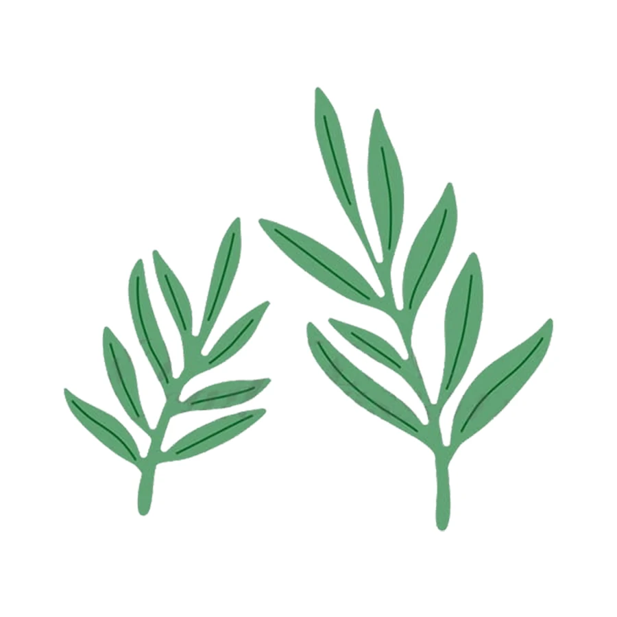 나뭇잎 올리브 가지 단풍 다이 컷 다이, DIY 스크랩북용 금속 커팅 다이, 강철 공예 다이 컷 엠보싱 다이, 2024 신제품