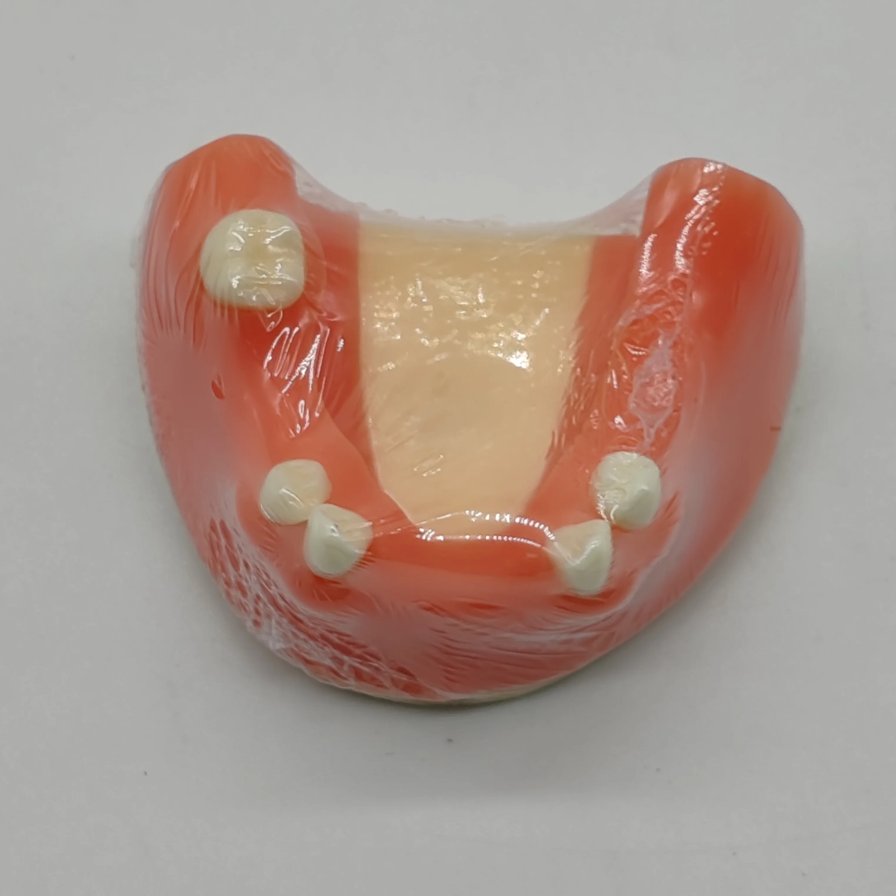 

M2004 Dental Implant Practice Model