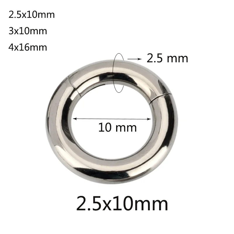 ASTM F136 Titanium PIERC Hinged Segment Hoop Earrings Nose Rings 10G-6G 2.5mm-4mm Seamless Labret Lip Body Piercing