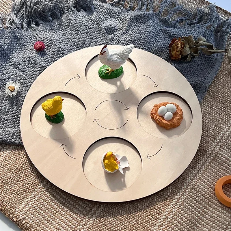 Animal Life Cycle Board Children Toys Montessori Teaching Aids Plant Animal Growth Cycle Model Set preschool cognitive Toys 5